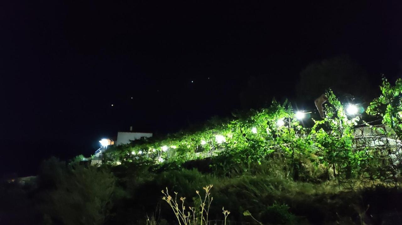 Filikur Hostel ヒマラ エクステリア 写真